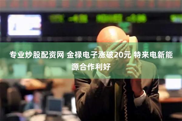 专业炒股配资网 金禄电子涨破20元 特来电新能源合作利好