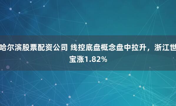 哈尔滨股票配资公司 线控底盘概念盘中拉升，浙江世宝涨1.82%