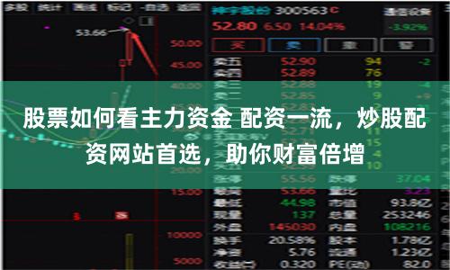 股票如何看主力资金 配资一流,炒股配资网站首选,助你财富倍增